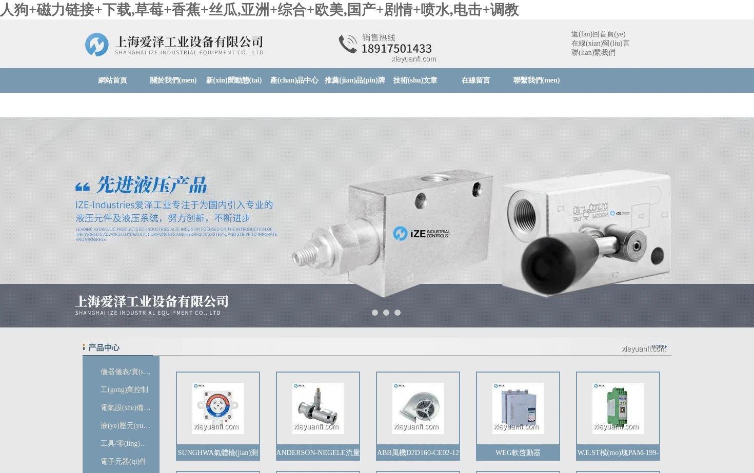 爱泽工业 页面快照